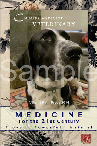 Poster: Chinese Medicine Veterinary